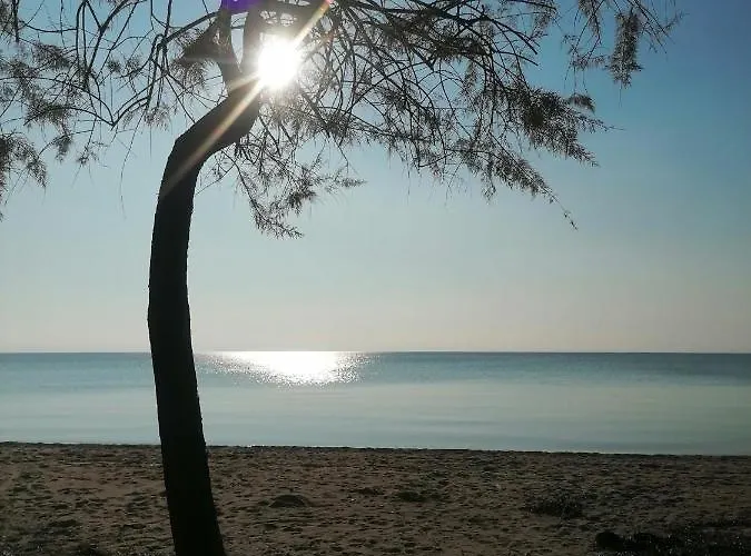 View ホテル